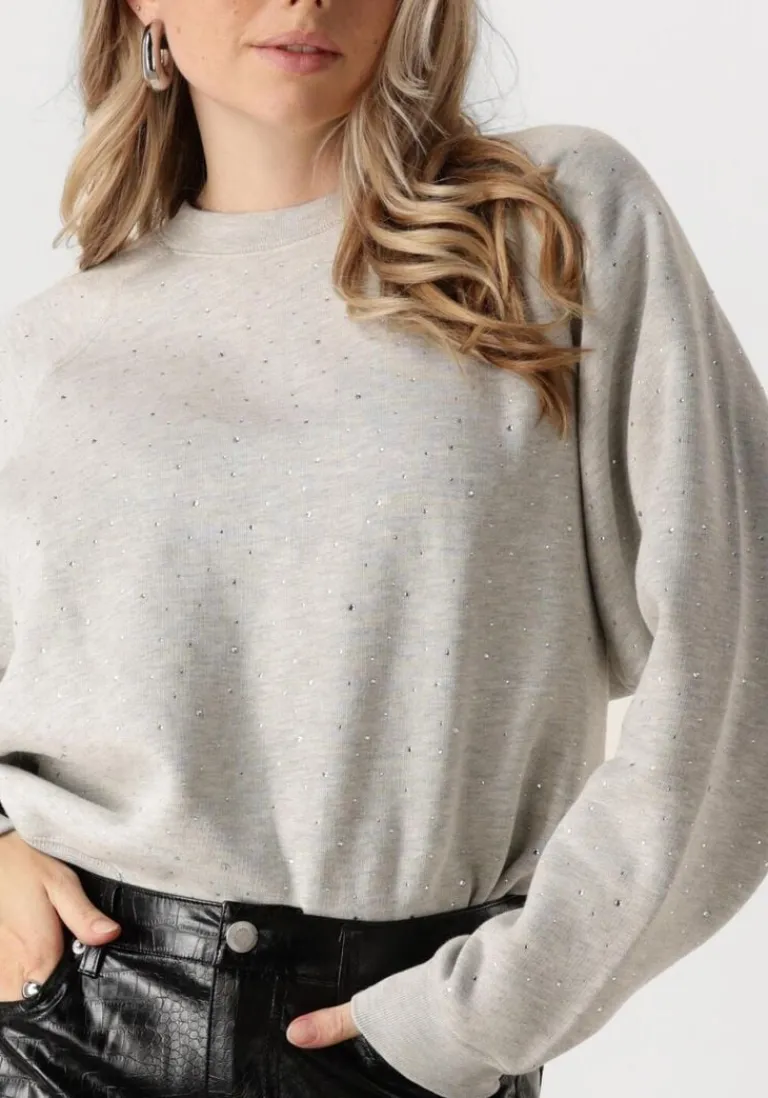 CATWALK JUNKIE grijze trui relaxed raglan sleeve sweater with strass>DAMES Truien & Vesten