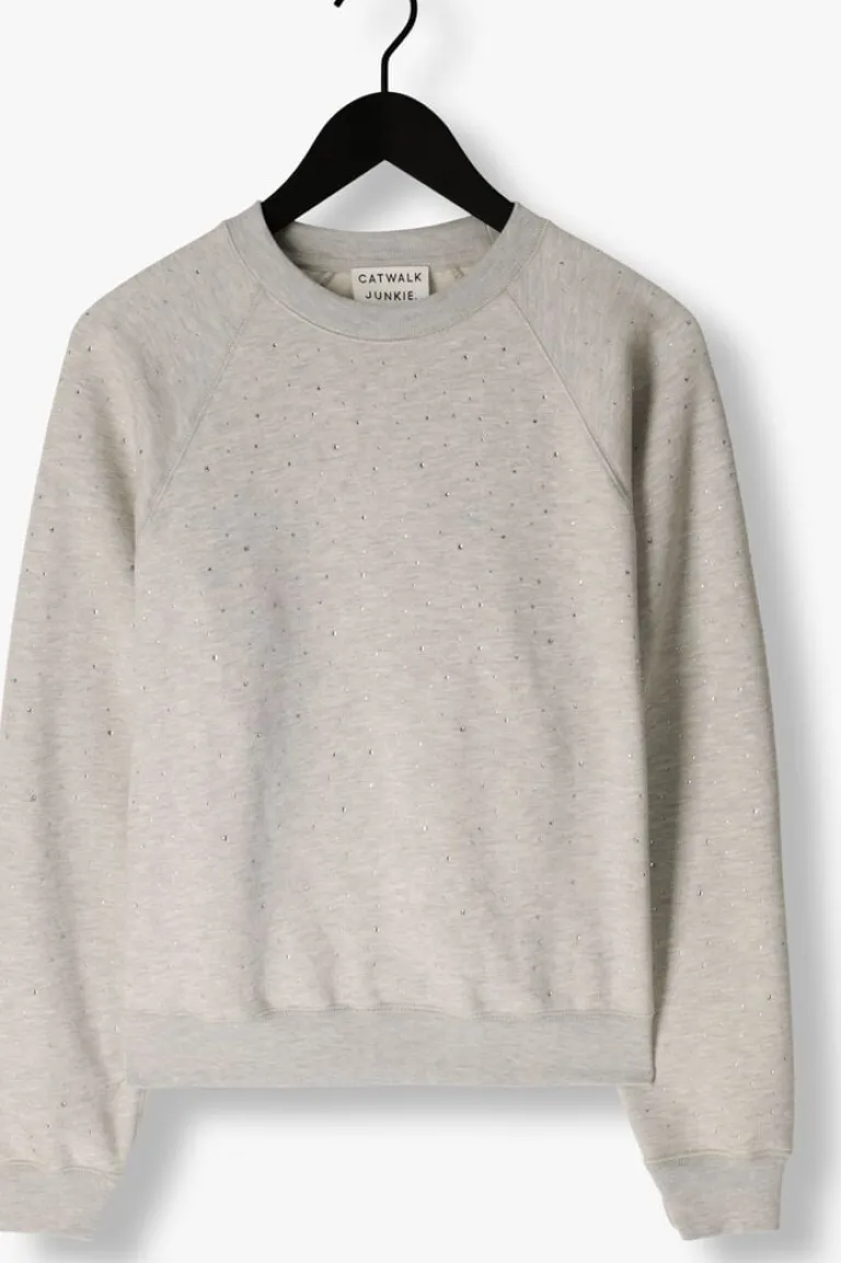 CATWALK JUNKIE grijze trui relaxed raglan sleeve sweater with strass>DAMES Truien & Vesten