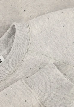 CATWALK JUNKIE grijze trui relaxed raglan sleeve sweater with strass><noscript><img width=