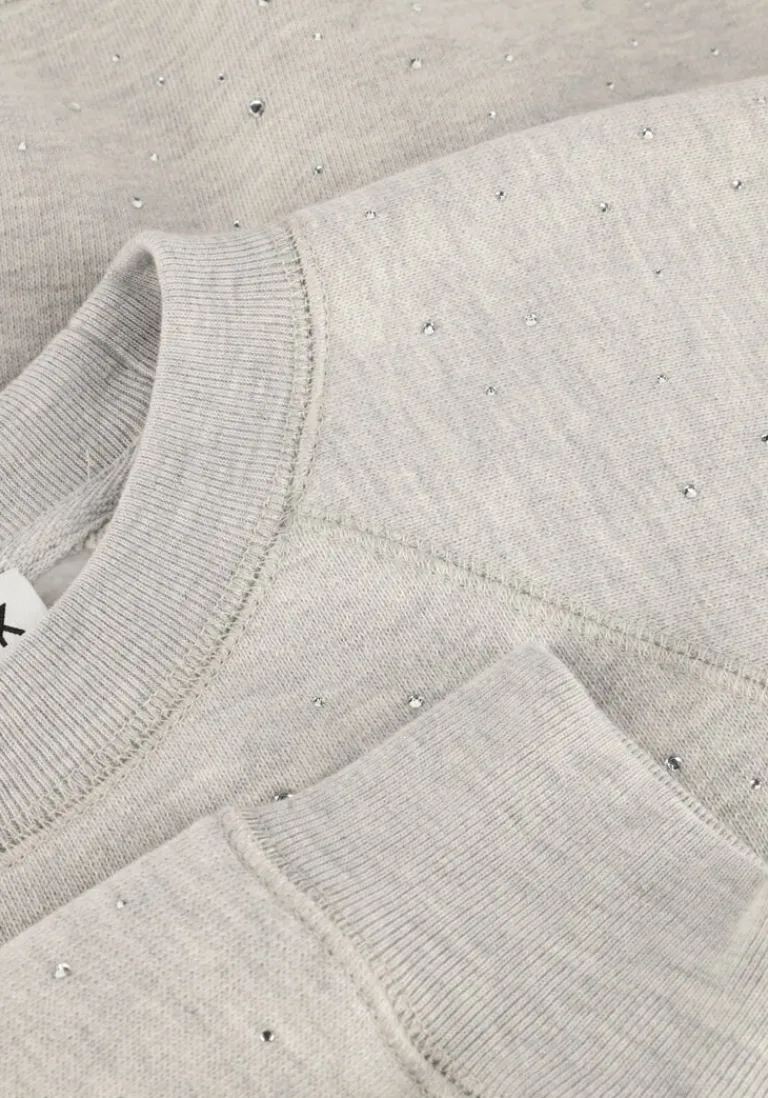 CATWALK JUNKIE grijze trui relaxed raglan sleeve sweater with strass>DAMES Truien & Vesten