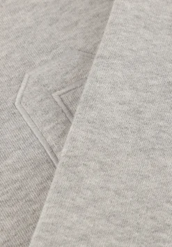 grijze co'couture sweater zoe coco sweat