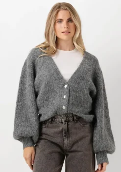 CO'COUTURE grijze co'couture vest corelie button knit>DAMES Truien & Vesten