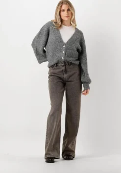 CO'COUTURE grijze co'couture vest corelie button knit>DAMES Truien & Vesten