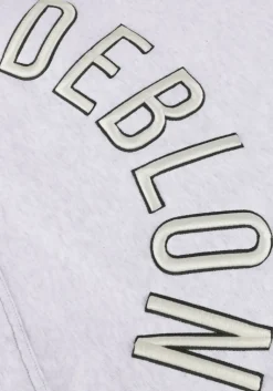 DEBLON SPORTS grijze top lara><noscript><img width=