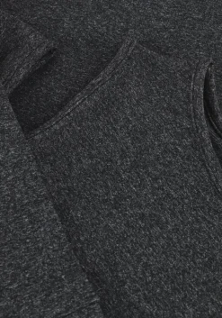 DEBLON SPORTS grijze top livia top><noscript><img width=