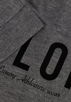 DEBLON SPORTS grijze t-shirt viola top short sleeve><noscript><img width=