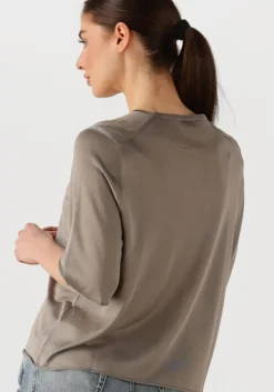 grijze drykorn t-shirt nisle