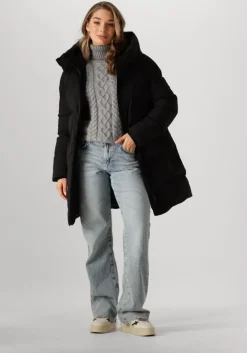 grijze ibana coltrui texany