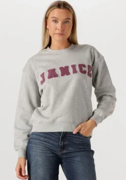 JANICE grijze sweater andy>DAMES Truien & Vesten