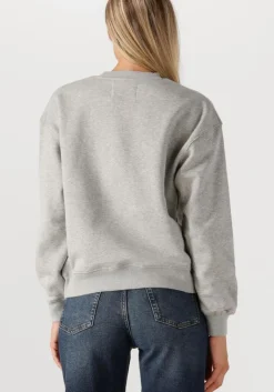 JANICE grijze sweater andy><noscript><img width=