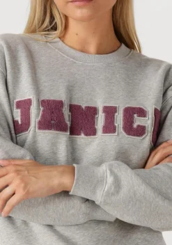 JANICE grijze sweater andy><noscript><img width=