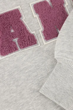 JANICE grijze sweater andy><noscript><img width=