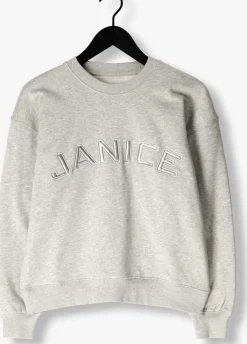 JANICE grijze sweater andy><noscript><img width=