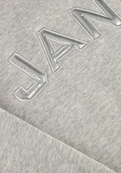 JANICE grijze sweater andy><noscript><img width=