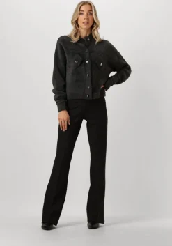 JANSEN AMSTERDAM grijze pantalon hvm407 broek lecie>DAMES Broeken