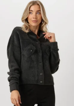 grijze jansen amsterdam vest p263 vest benja