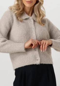 grijze knit-ted vest asa