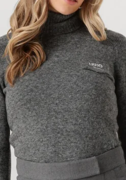 LIU JO grijze coltrui 3.0 maglia chiusa m/l><noscript><img width=