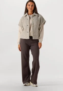 MOSCOW grijze bodywarmer 89-11 pelle>DAMES Jassen