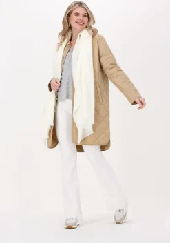 NOT SHY grijze trui aimee><noscript><img width=