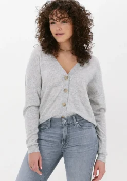 NOT SHY grijze vest juana>DAMES Truien & Vesten