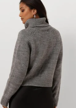 grijze notre-v coltrui nv-enide