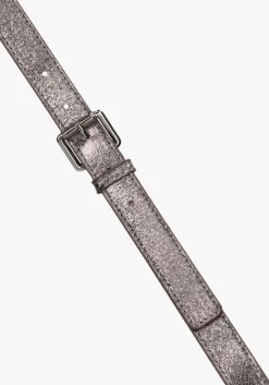 NOTRE-V grijze riem metallic>DAMES Riemen