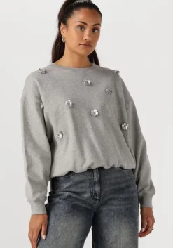 NUKUS grijze trui beatriz pullover flower>DAMES Truien & Vesten