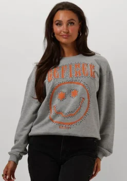 REFINED DEPARTMENT grijze sweater jane>DAMES Truien & Vesten