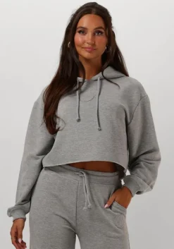 REFINED DEPARTMENT grijze trui tatum>DAMES Truien & Vesten