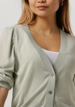 RUBY TUESDAY grijze vest vester v neck cardigan><noscript><img width=