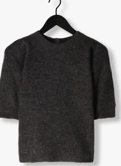 SELECTED FEMME grijze top slflulu ss open back knit o-neck><noscript><img width=