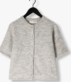 SELECTED FEMME grijze top slflulu 2/4 knit cardigan><noscript><img width=