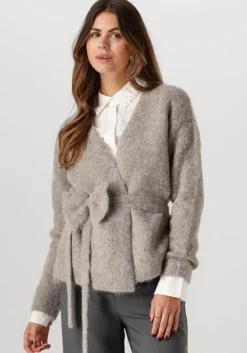 SELECTED FEMME grijze vest slfgabella ls knit bow cardigan>DAMES Truien & Vesten