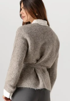 SELECTED FEMME grijze vest slfgabella ls knit bow cardigan><noscript><img width=