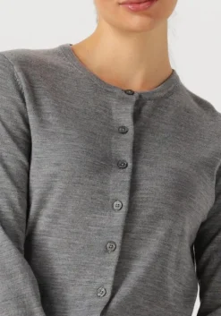 SELECTED FEMME grijze vest slfthea ls knit merino cardigan><noscript><img width=