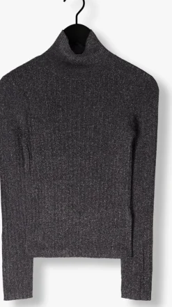 grijze suncoo trui prisil