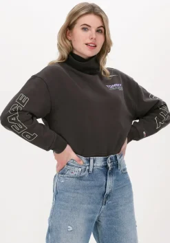 TOMMY JEANS grijze coltrui tjw bxy unitees3 turtle neck>DAMES Truien & Vesten