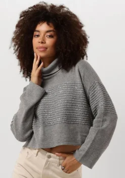 TWINSET MILANO grijze coltrui 242tp3271>DAMES Truien & Vesten