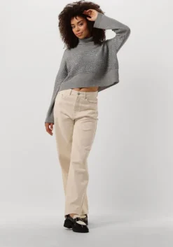 TWINSET MILANO grijze coltrui 242tp3271>DAMES Truien & Vesten