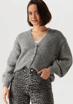 Y.A.S. grijze vest yasvigga ls knit cardigan>DAMES Truien & Vesten