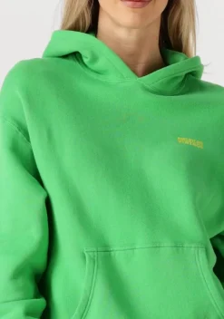 groene american vintage trui izubird s