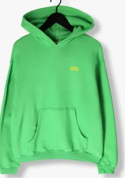 groene american vintage trui izubird s