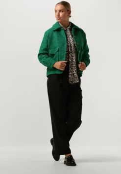 groene suncoo jack enzo