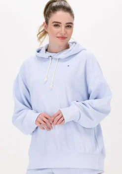 lichtblauwe champion trui hooded sweatshirt dms plain