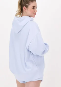 lichtblauwe champion trui hooded sweatshirt dms plain