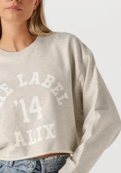 lichtgrijze alix the label trui ladies knitted soft sweater