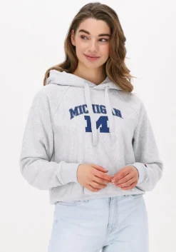 CHAMPION lichtgrijze trui hooded sweatshirt 115110>DAMES Truien & Vesten|Truien & Vesten