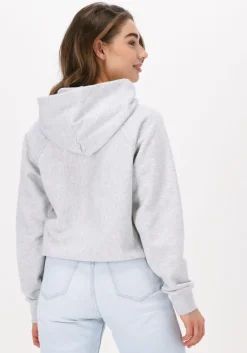 CHAMPION lichtgrijze trui hooded sweatshirt 115110><noscript><img width=