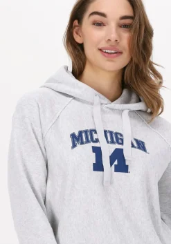 CHAMPION lichtgrijze trui hooded sweatshirt 115110><noscript><img width=